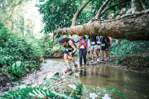 BIB: 
                            <button type="button" onclick="openModal(25477405)" class="btn btn-primary btn-sm float-right btn-popup" data-toggle="modal" data-target=".modal-high-quality">
                        <i class="fas fa-shopping-cart"></i> Add to Cart
                    </button>
                                            <button type="button" onclick="isThisMe(25477405, true)" class="btn btn-success btn-sm float-right btn-popup btn-isme hidden" data-toggle="tooltip" data-placement="bottom" title="นี่คือรูปของคุณใช่ไหม คลิกที่นี่เพื่อเอาเข้าอัลบั้ม">
                        <i class="fas fa-plus"></i> Add to album
                    </button>
                    <button type="button" onclick="isThisMe(25477405, false)" class="btn btn-warning btn-sm float-right btn-popup btn-isnotme hidden">
                        <i class="fas fa-ban"></i> Remove from album
                    </button>